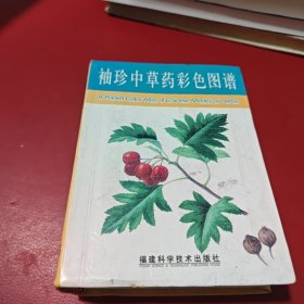 袖珍中草药彩色图谱