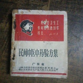 民间中医中药验方集 有林语
