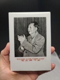毛主席 （摆件） 毛主席在九大上的发言，瓷板画，瓷砖画 15 中国湖南