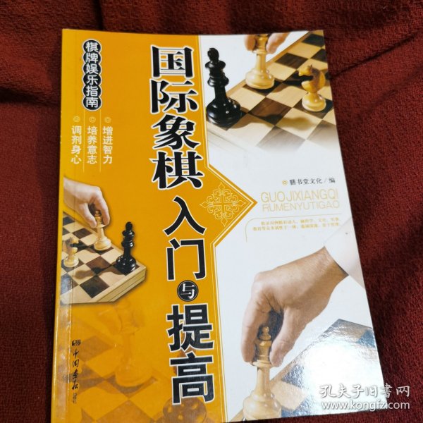 棋牌娱乐指南：国际象棋入门与提高