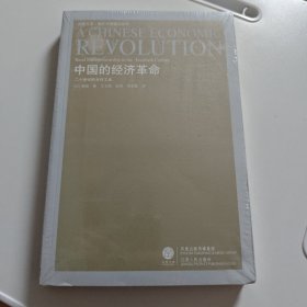 中国的经济革命：20世纪的乡村工业