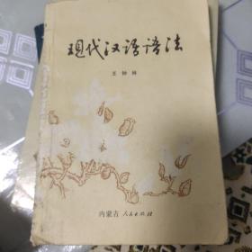 现代汉语语法