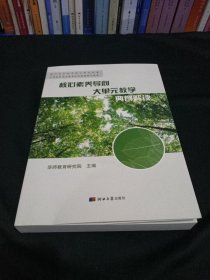 核心素养导向大单元教学典例解读