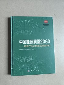 中国能源展望2060——能源产业迈向碳达峰碳中和