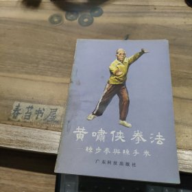 黄啸侠拳法 练步拳与练手拳