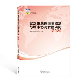 武汉市地理国情监测与城市协调发展研究 2020 各国地理 武汉市测绘研究院 主编 新华正版