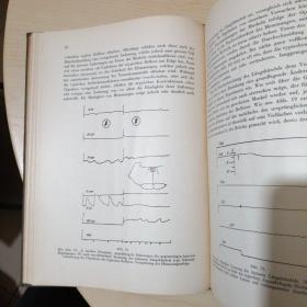 DIE ROLLE DER EINZELNEN LABYRINTHREZEPTOREN BEI DER ORIENTATION VON AUGEN UND KOPF IM RAUME