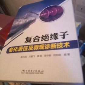 复合绝缘子老化表征及微观诊断技术