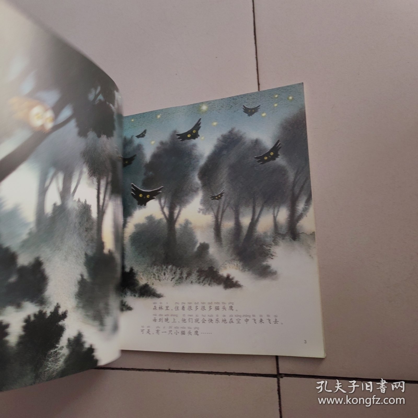 胆小的猫头鹰。（含光盘）