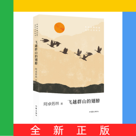 飞越群山的翅膀/中国少数民族文学之星丛书