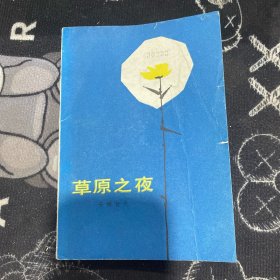 草原之夜