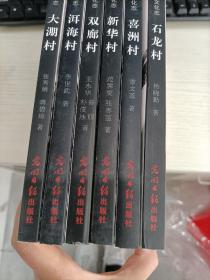 中国白族村落影像文化志 （全30册）明细见图