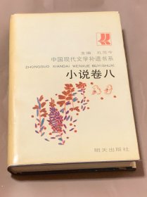 中国现代文学补遗书系 （小说卷六 ）精装