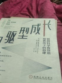 自驱型成长：如何科学有效地培养孩子的自律