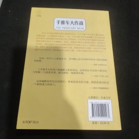 长青藤国际大奖小说书系：手推车大作战（刘易斯·卡罗尔书架奖）