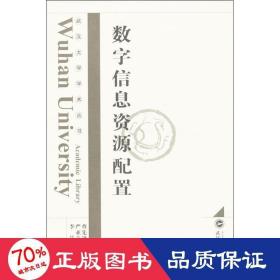 武汉大学学术丛书：数字信息资源配置