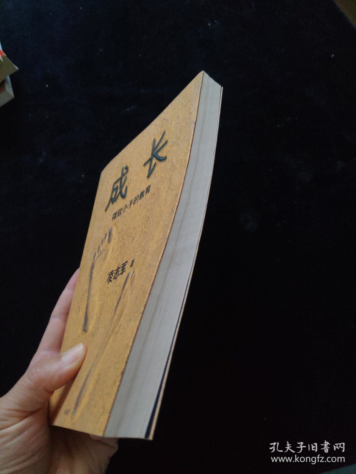 成长：微软小子的教育