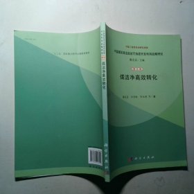 煤洁净高效转化