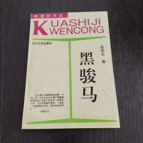 黑骏马