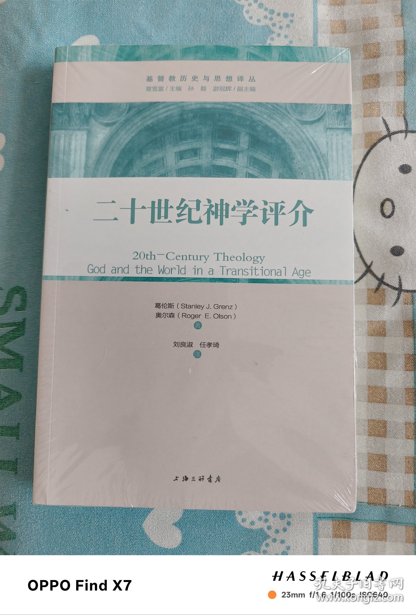二十世纪神学评介：超越性与临在性的平衡