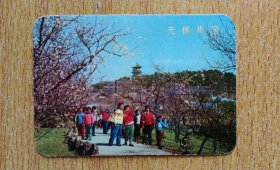 1973年年历片《无锡梅园》【上海书画社出版】