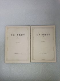 大卫·科波菲尔 上下册 人民文学出版社