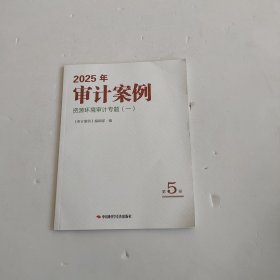 2025年审计案例第5册