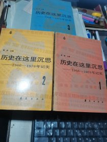 历史在这里沉思 （1966--1976年记实）1-3卷 三本合售