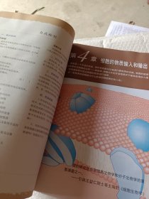 普通高中课程标准实验教科书 生物 1 必修：分子与细胞，高中生物必修1，2004年初审通过，内页干净，