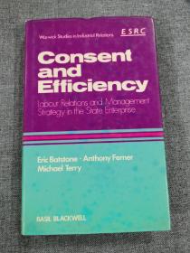 Consent and efficiency :labour relations and management strategy in the state enterprise 同意与效率