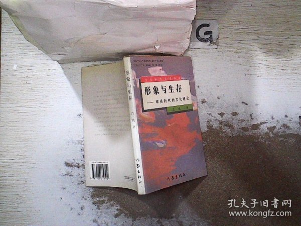 形象与生存 : 审美时代的文化理论