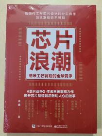 芯片浪潮： 纳米工艺背后的全球竞争