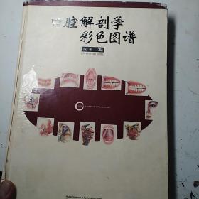 口腔解剖学彩色图谱