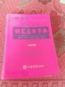 常用汉字钢笔五体字典（辞海版双色印刷）