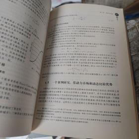 政策建模技术：CGE模型的理论与实现