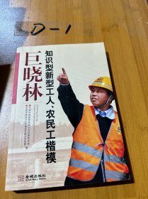 知识型新型工人、农民工楷模巨晓林