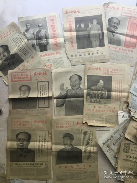 浙江农村科技报50份