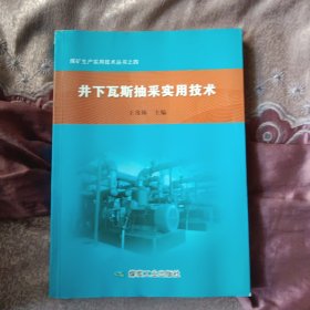 井下瓦斯抽采实用技术