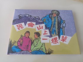 昆仑山上一棵草(上美大精)