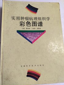 实用肿瘤病理组织学彩色图谱