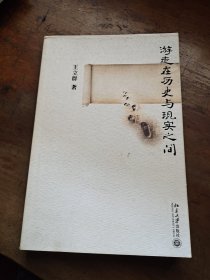 游走在历史与现实之间