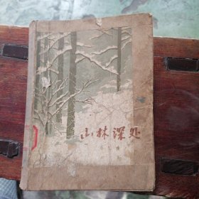 山林深处