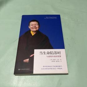 当生命陷落时：与逆境共处的智慧