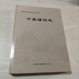 十里铺村志（石家庄市长安区）未开封