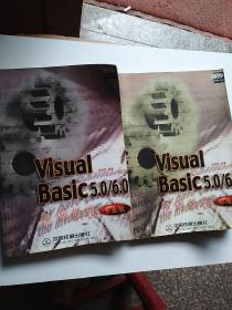 Visual Basic 5.0/6.0范例教程:专业版
