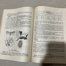 茶树病虫害（茶叶专业用）