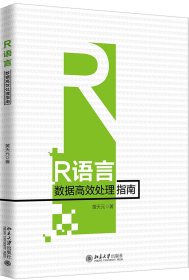 R语言数据高效处理指南