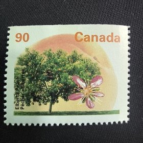 S101加拿大1995年 果树 新 1枚 （小本票内芯，随机发，上平齿或下平齿）外国邮票