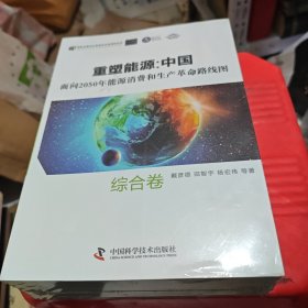 重塑能源中国面向2025年能源消费和生产革命路线图