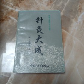 针灸大成